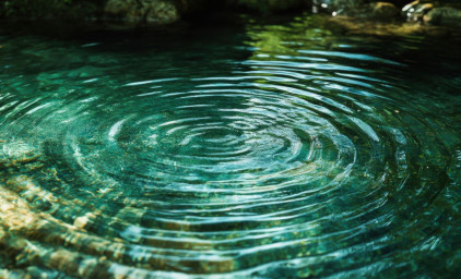 vand der går i ring