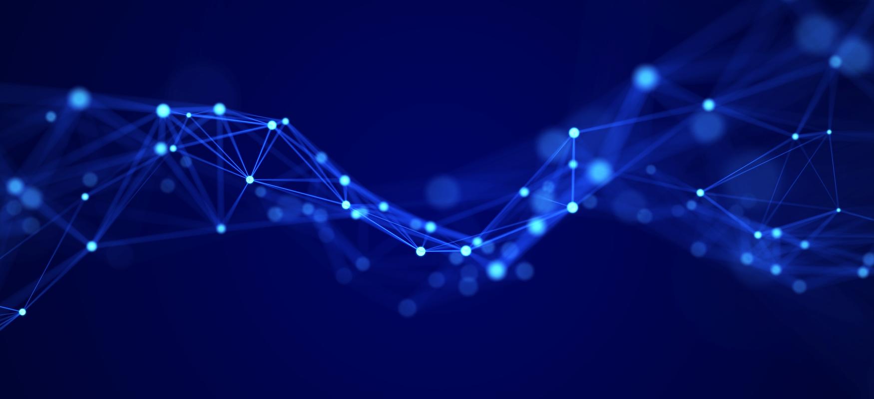 Network data struktur