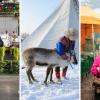 Collage of elderly couple dancing, Sami with reindeer and Asian tourist in Helsinki.