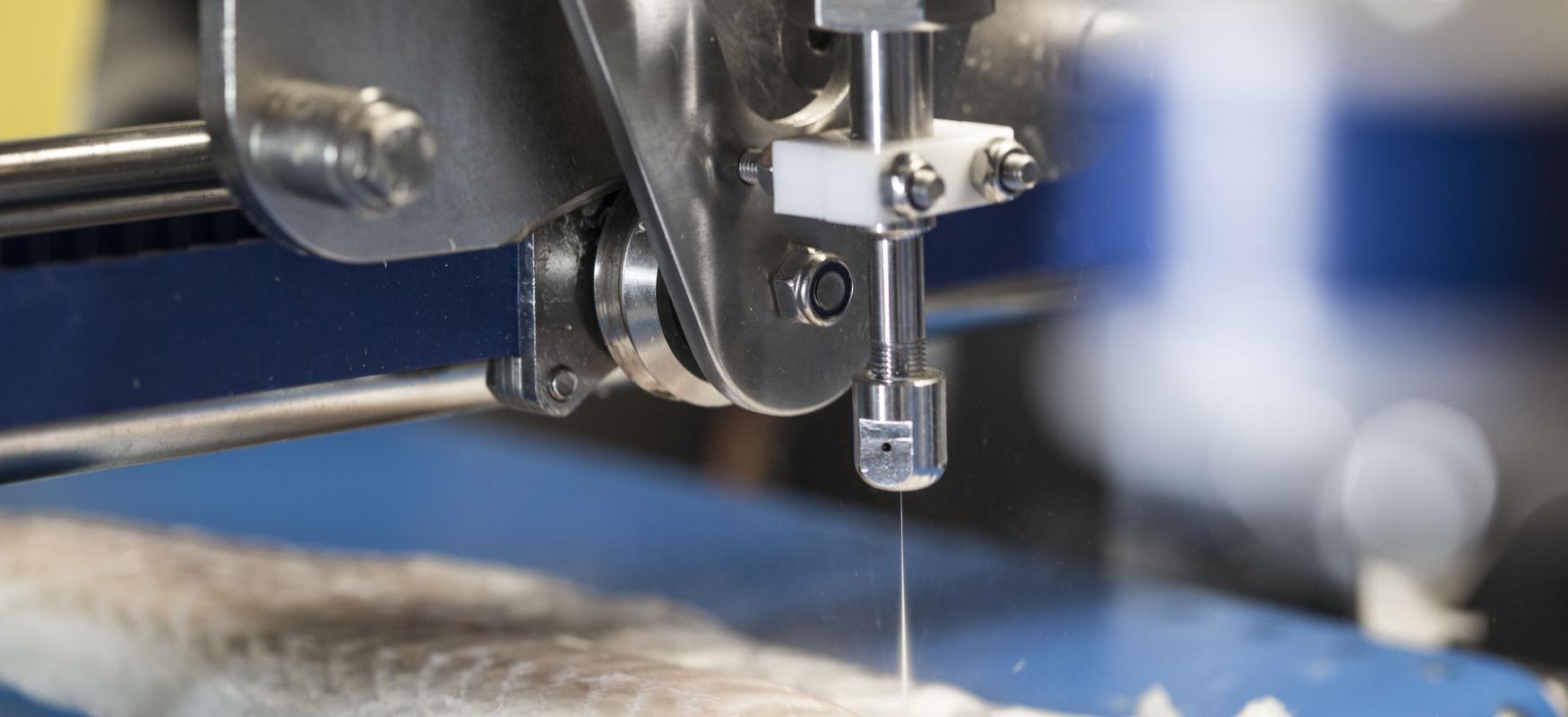 Automated pin-bone removal in a whitefish