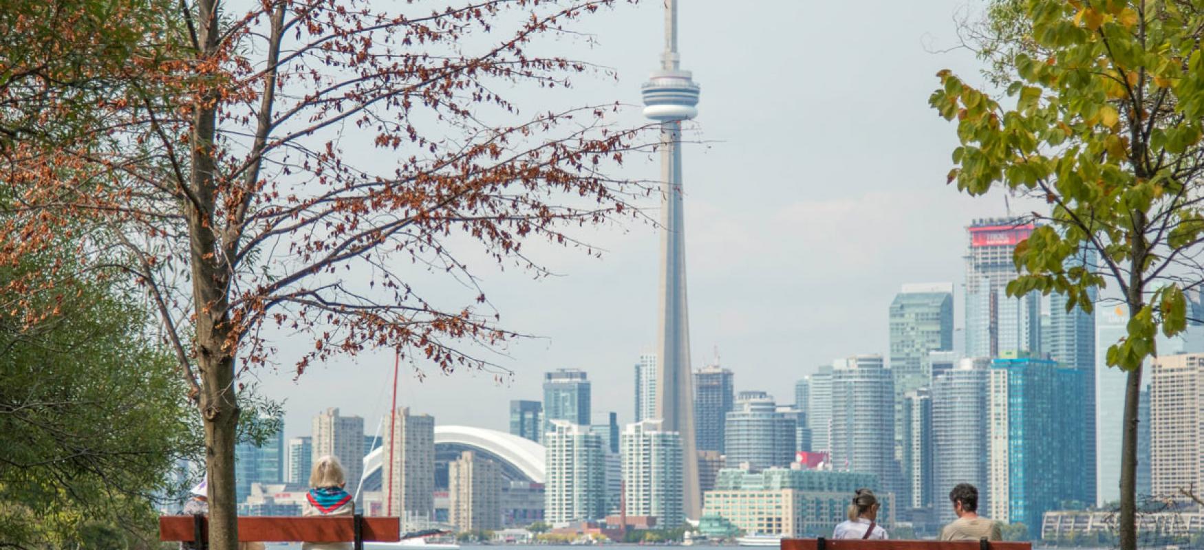 People sitting on benches in a park looking at the Toronto skyline