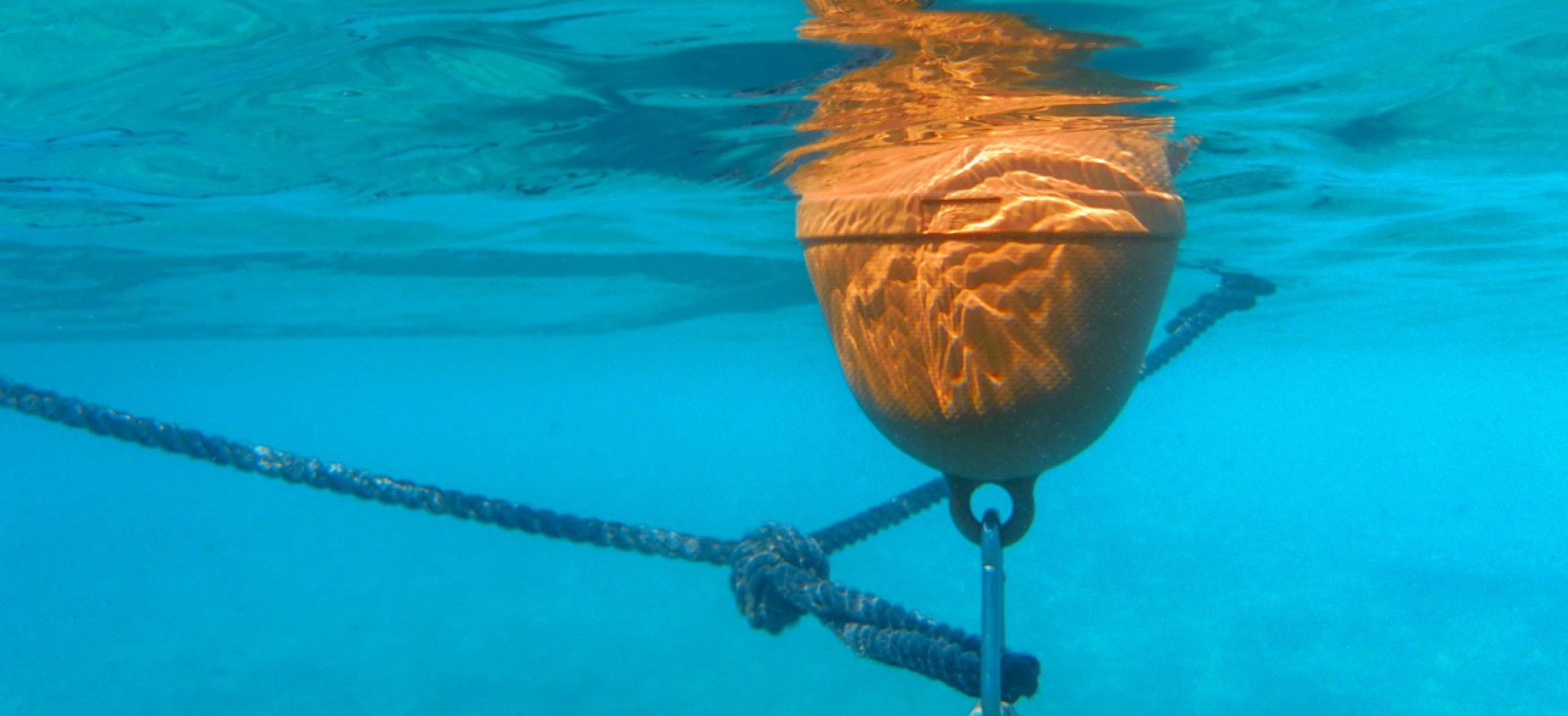 Underwater picture of a buoy floating in blue water