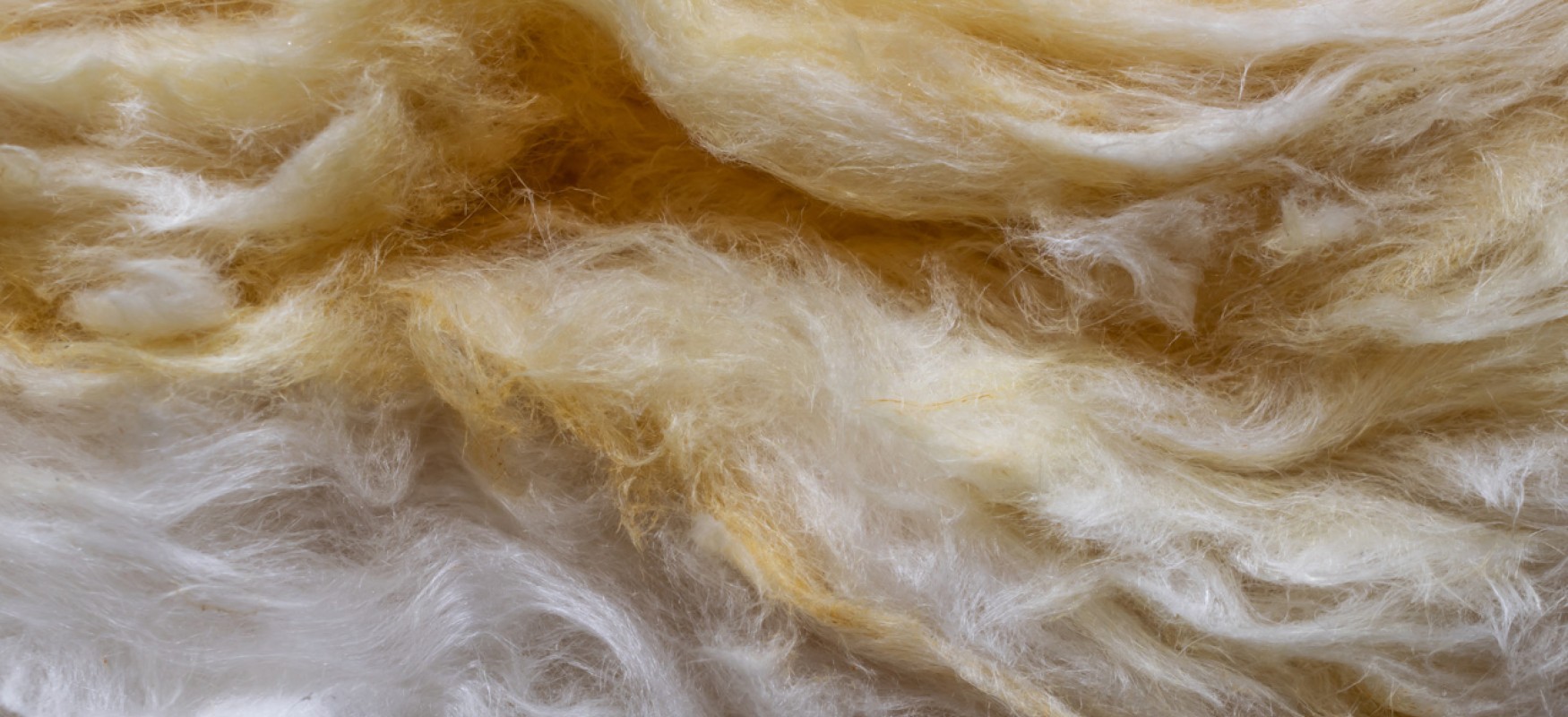Close up of wool