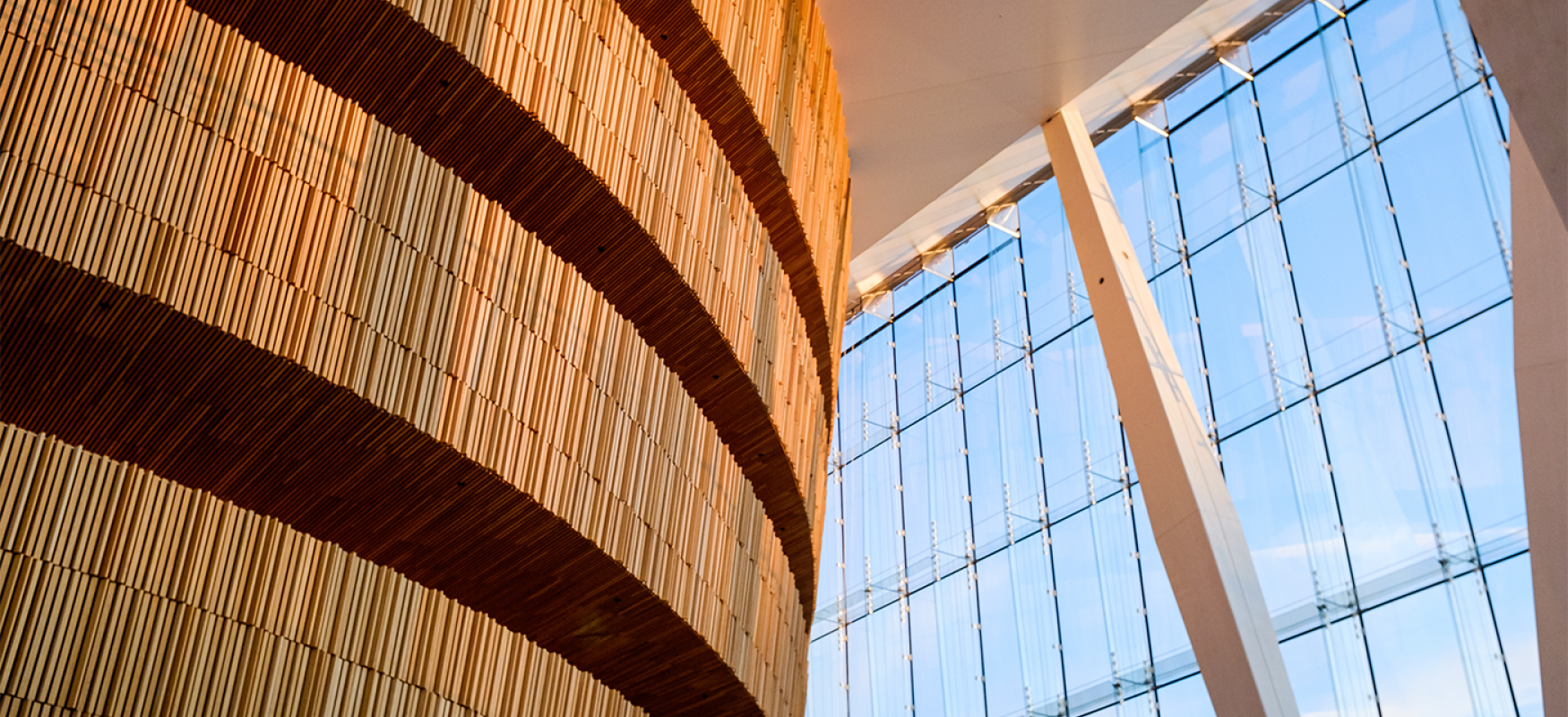 diversity task force